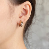 China Replica Cartier Earrings 52usd Only